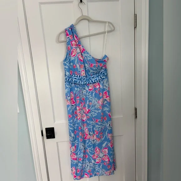 Lilly Pulitzer Blue and Pink Floral Dress - Picture 1 of 5